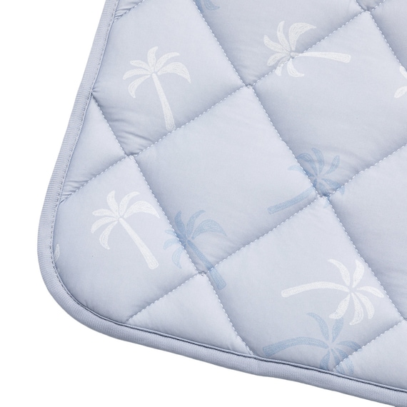 ロングチェアシート(Nクール PALM NR04) 5枚目画像