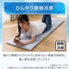 大判ごろ寝クッション(Nクール PALM NR04) 4枚目画像