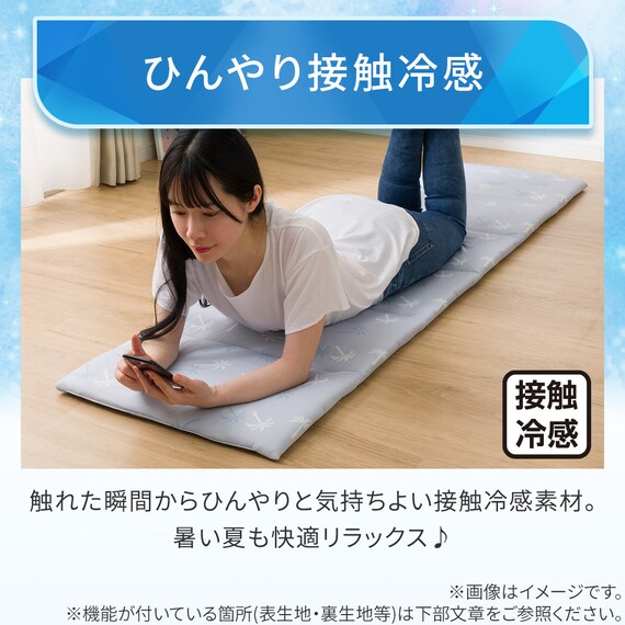 大判ごろ寝クッション(Nクール PALM NR04) 4枚目画像