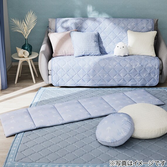 モチモチクッション 40R(Nクール PALM NR04) 2枚目画像