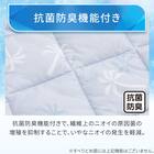 ヒジ無しソファパッド 2人掛け用(Nクール PALM NR04) 5枚目画像