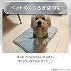ペット敷パッド Lサイズ(Nクール極冷 グレー rSCsM) 5枚目画像