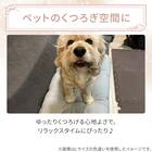 ペットモチモチクッション Mサイズ(Nクール極冷 ラインアート M) 5枚目画像