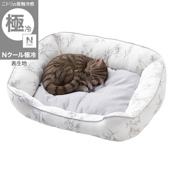ペットベッド 角 Mサイズ(Nクール極冷 ラインアート M) 1枚目画像