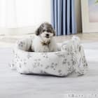 ペットキャリーベッド(Nクール ラインアート) 2枚目画像