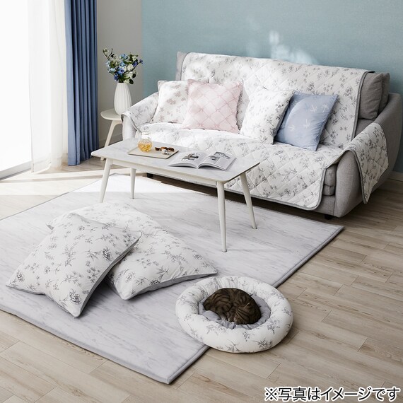 フロアクッションカバー(Nクール極冷 ラインアート) 2枚目画像