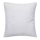 フロアクッションカバー(Nクール極冷 ラインアート) 3枚目画像