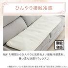 ロングチェアシート(Nクール極冷 くしゅくしゅ rSCq) 5枚目画像