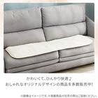 ロングチェアシート(Nクール極冷 くしゅくしゅ rSCq) 9枚目画像