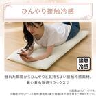 ごろ寝クッション(Nクール極冷 くしゅくしゅ rSCq) 5枚目画像