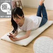 ごろ寝クッション(Nクール極冷 くしゅくしゅ rSCq)