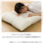 大判長座布団(Nクール極冷 くしゅくしゅ rSCq) 10枚目画像