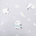 クッションカバー(Nクール シマエナガ rSCs2s) 2枚目画像