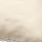 クッションカバー(アミ rSCy1s) 6枚目画像