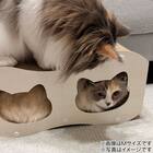 爪とぎトンネル Lサイズ (WW ネコ DH25) 5枚目画像