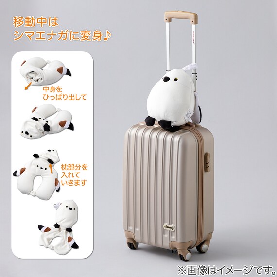 ビーズクッション ピロー(BC-E04SE) 3枚目画像