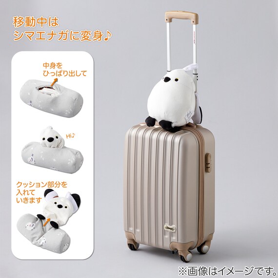 ビーズクッション ボル(BC-E04SE) 3枚目画像