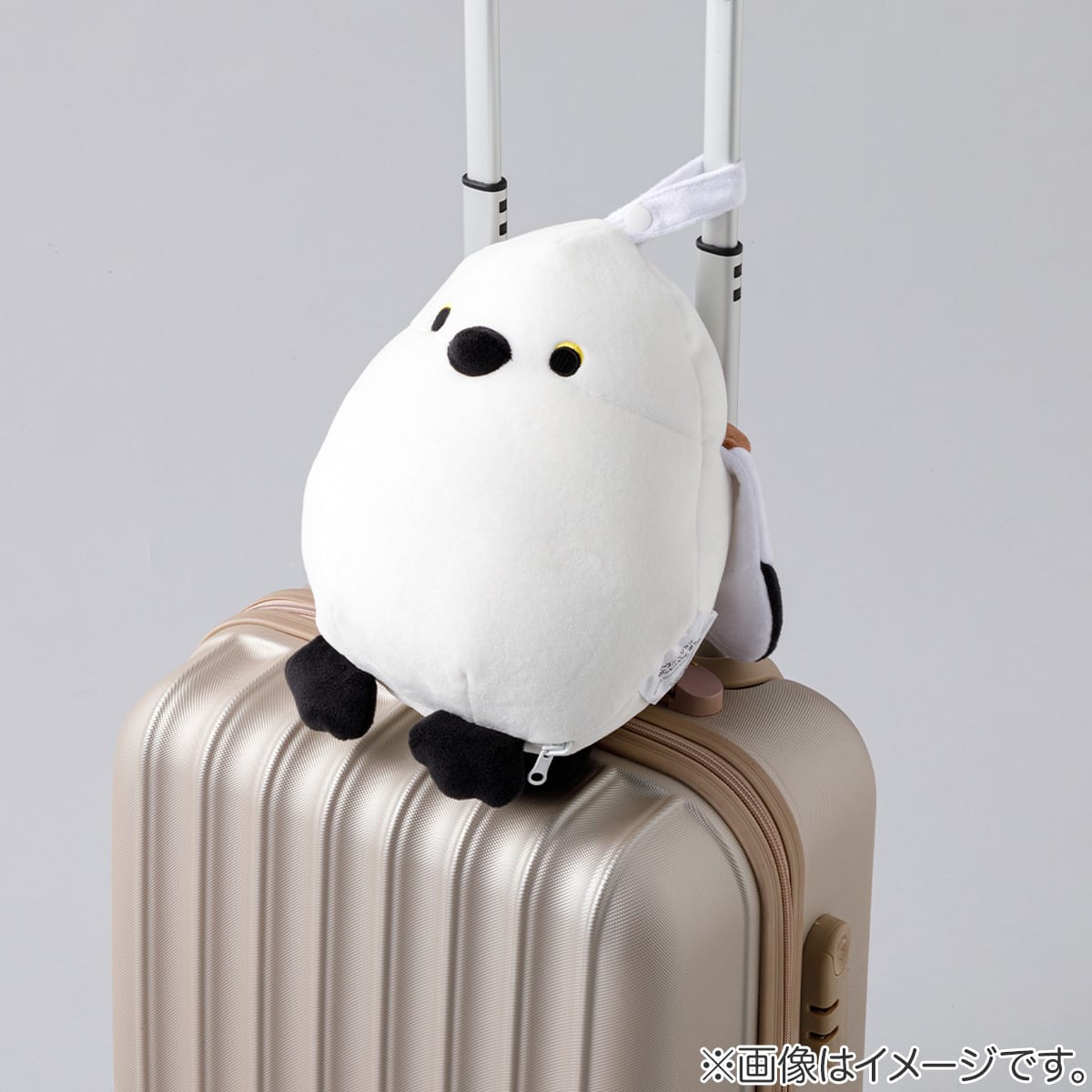 ビーズクッション ボル(BC-E04SE) | ニトリネット【公式】 家具