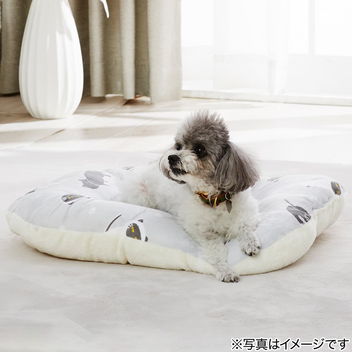 ペットもちもちクッション(Nウォーム デコネコrSCqa) | ニトリネット