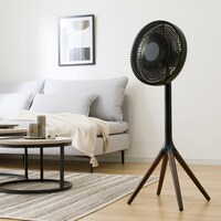 30cm DCモーターリモコン付き 木目調リビング扇風機(ブラック FS01NC)
