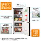 家電4点セット 東日本用】新生活基本4点 冷蔵庫+6kg洗濯機+レンジ+炊飯 