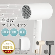 高濃度マイナスイオンヘアドライヤー (NL101)