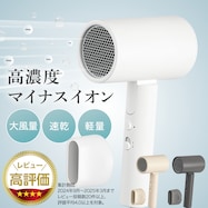 高濃度マイナスイオン ヘアドライヤー (NL101)