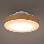 LEDミニシーリングライト (60L)
