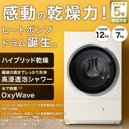 【ネット先行予約販売】12kgヒートポンプ式ドラム式洗濯乾燥機 (ND120HL1)