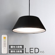 LEDペンダントライト 50F