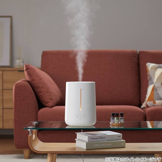 タンクを持ち運べるラク給水アロマ加湿器(HM04 MO) 15枚目画像