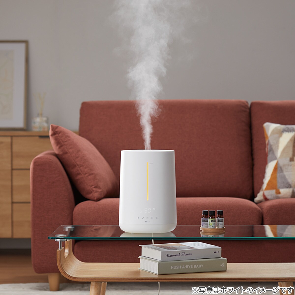 タンクを持ち運べるラク給水湿度設定加湿器(HM05D) | ニトリネット