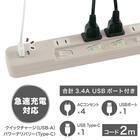 USB付節電タップ4個口(モカ) 2枚目画像