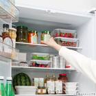 410L 4ドアファン式 冷凍冷蔵庫 (TL2G01 ホワイト)(リサイクル回収なし) 10枚目画像