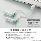 【USB充電式】リチウムイオン充電池USB-C (単3形2個入り C520) 2枚目画像