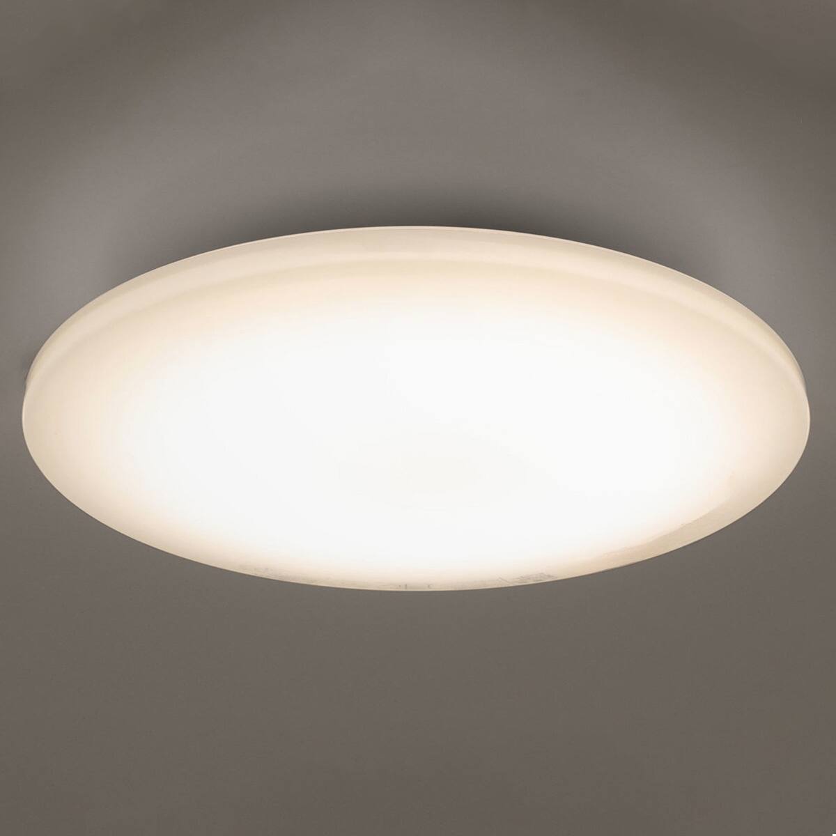 LEDシーリングライト(NS006 6JDC) | ニトリネット【公式】 家具