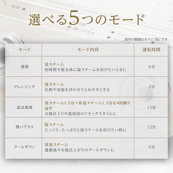 6分で潤いをサポートできる フェイススチーマー (NK251 ホワイト) 11枚目画像