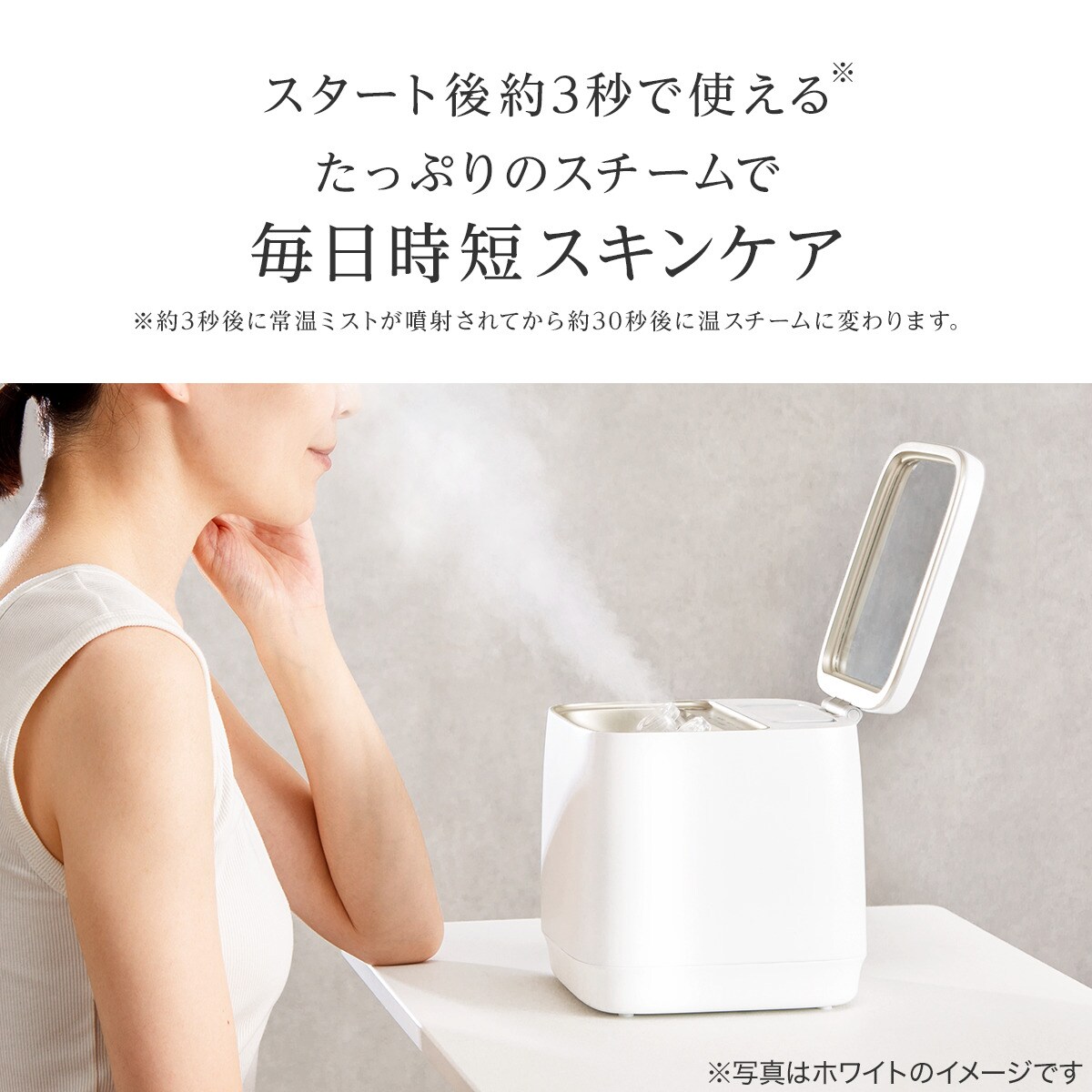 6分で速潤できるフェイススチーマー(NK251 モカ) | ニトリネット【公式