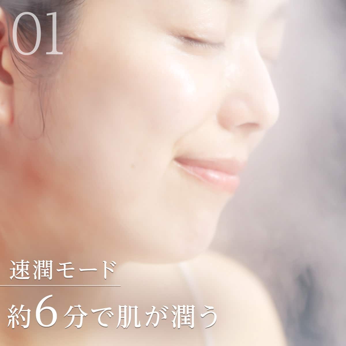 6分で潤いをサポートできる フェイススチーマー (NK251 モカ) | ニトリ