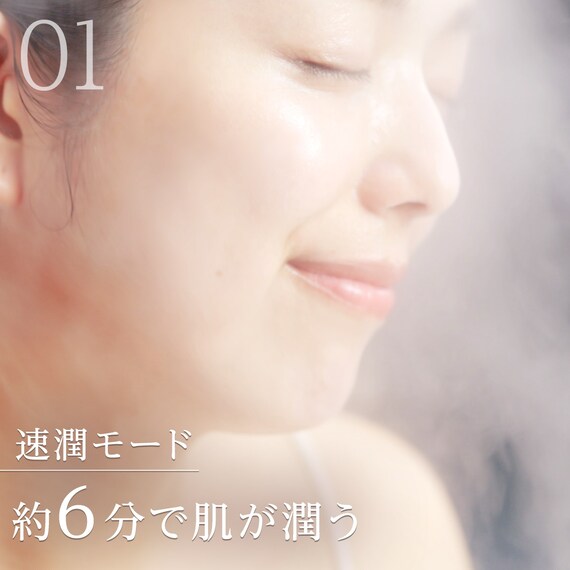 6分で潤いをサポートできる フェイススチーマー (NK251 モカ) 12枚目画像