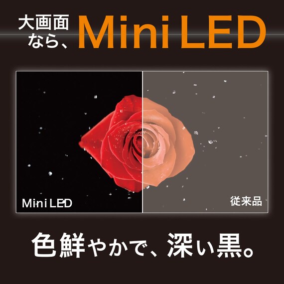 55型 4Ｋ対応 Mini LED 液晶テレビ (N55TB2UM2V ブラック)(リサイクル回収あり) 2枚目画像