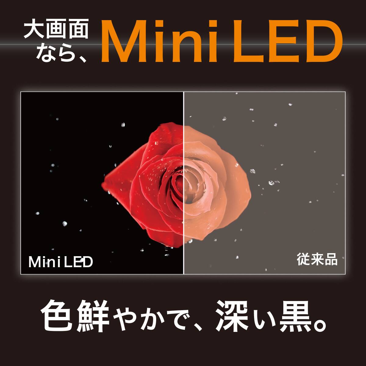 55型 4K対応 Mini LED 液晶テレビ (N55TB2UM2V ブラック)(リサイクル
