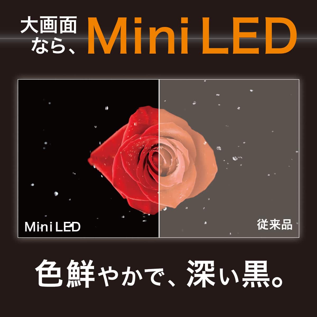 65型 4K対応 Mini LED 液晶テレビ (N65TB2UM2V ブラック)(リサイクル