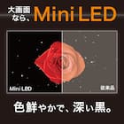 65型 4K対応 Mini LED 液晶テレビ (N65TB2UM2V ブラック)(リサイクル回収なし) 2枚目画像