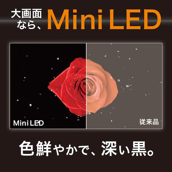 壁掛けテレビ 壁掛けパーツ付き 55型 4K対応 Mini LED 液晶 (N55TB2UM2V ブラック) (リサイクル回収なし) 3枚目画像