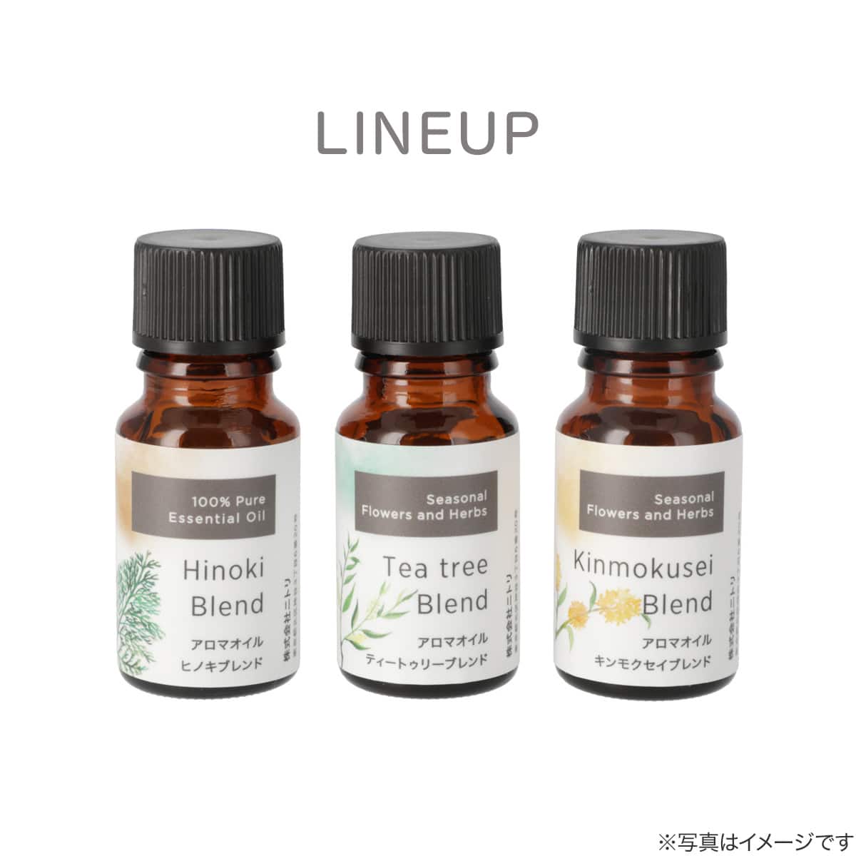 アロマオイル(ヒノキブレンド7ml) | ニトリネット【公式】 家具