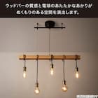 5灯ペンダントライト(HCTLP5) 4枚目画像