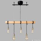 5灯ペンダントライト(HCTLP5) 1枚目画像