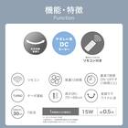 DCタイプ リモコン付きリビング扇風機(30cm FK01NR ダークグレー) 3枚目画像