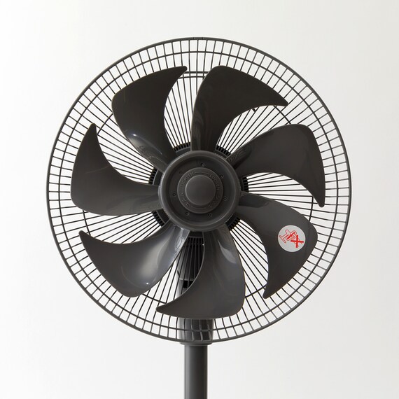 DCタイプ リモコン付きリビング扇風機(30cm FK01NR ダークグレー) 20枚目画像